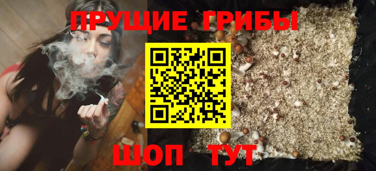 Красноперекопск  Псилоцибиновые грибы мицелий  Вход с VPN  Галлюциногенные грибы MAGIC MUSHROOMS 
