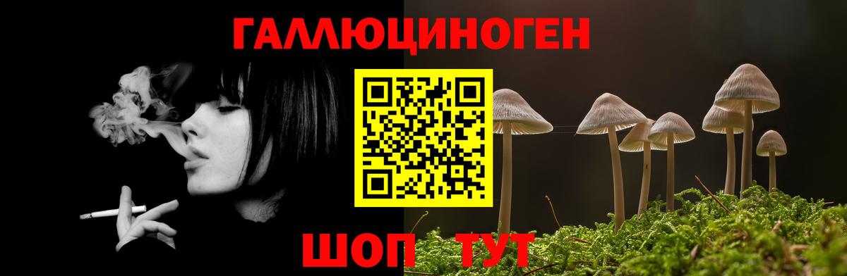 Галлюциногенные грибы MAGIC MUSHROOMS Красноперекопск